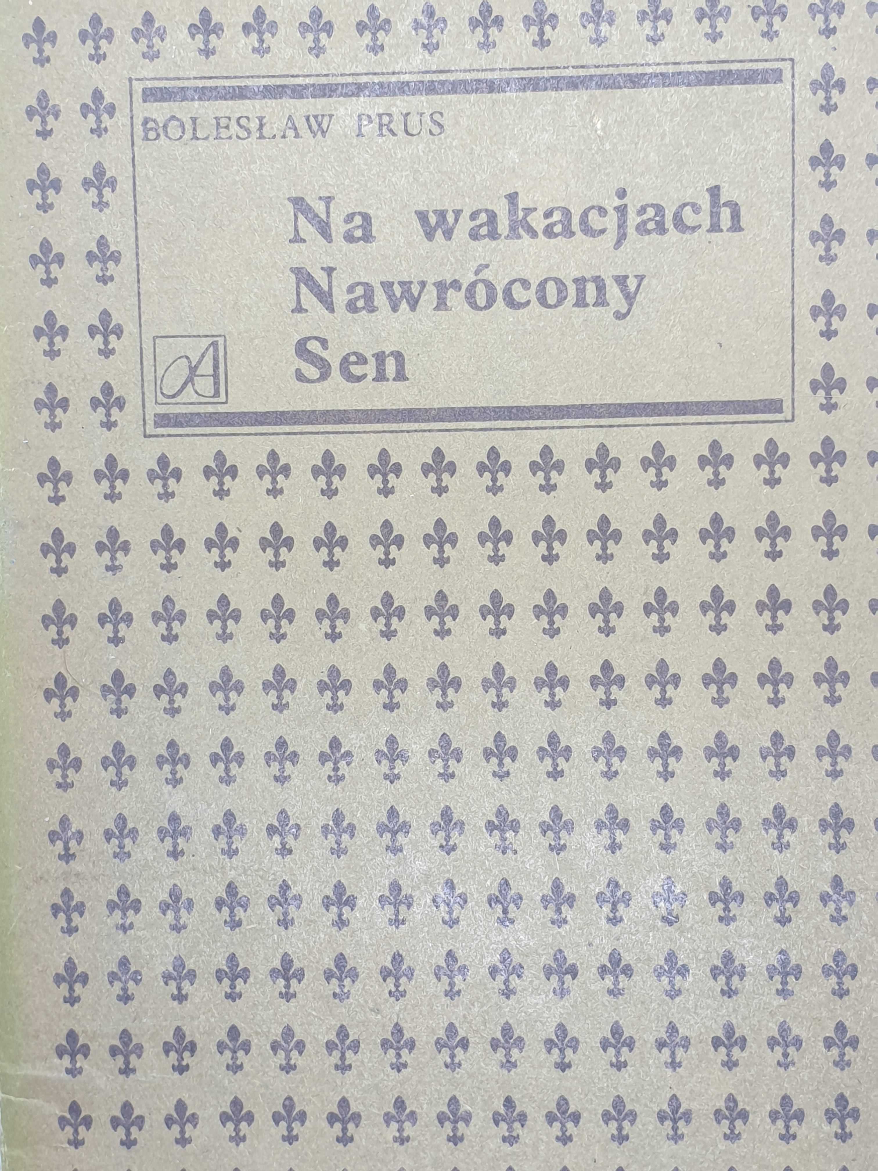 Bolesław Prus Na Wakacjach Pdf NA WAKACJACH NAWRÓCONY SEN - PRUS BOLESŁAW | Książka w sklepie book2hand.pl